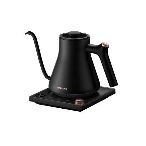 An electric kettle